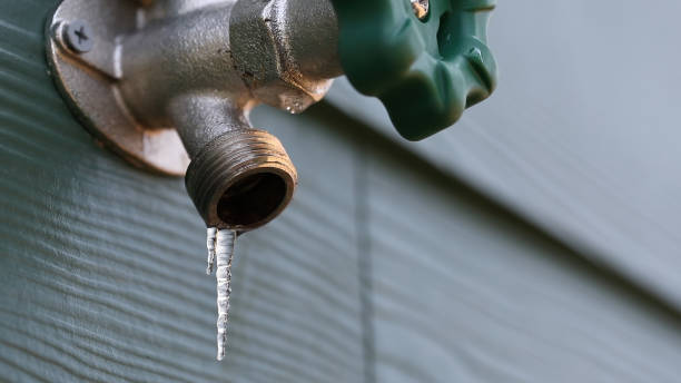 Best Clogged Drain Plumber  in Owensville, MO